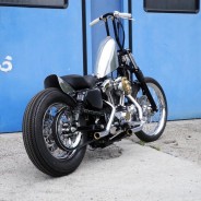 2005 Harley-Davidson Sportster 1200 Custom